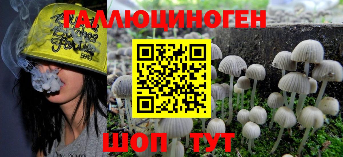 Златоуст  Псилоцибиновые грибы прущие грибы  Вход с VPN  Галлюциногенные грибы мухоморы 